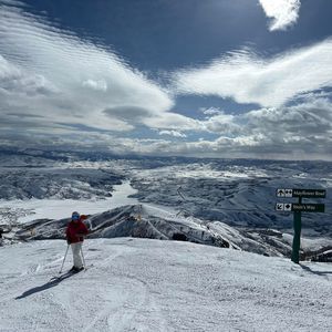 Meet your Posher, Mylee